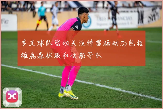 多支球队密切关注特雷杨动态包括雄鹿森林狼和快船等队